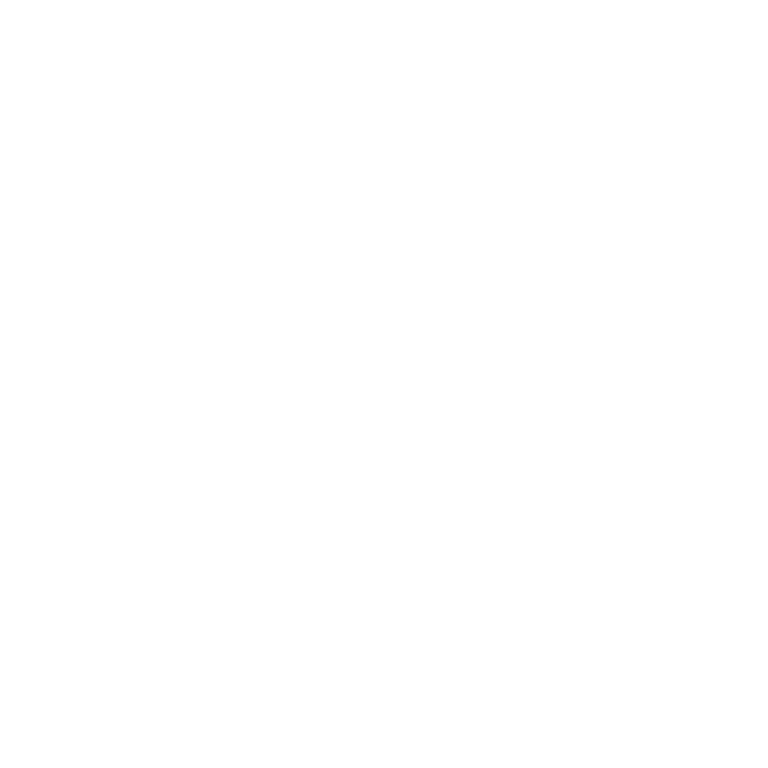 DANTE NIC