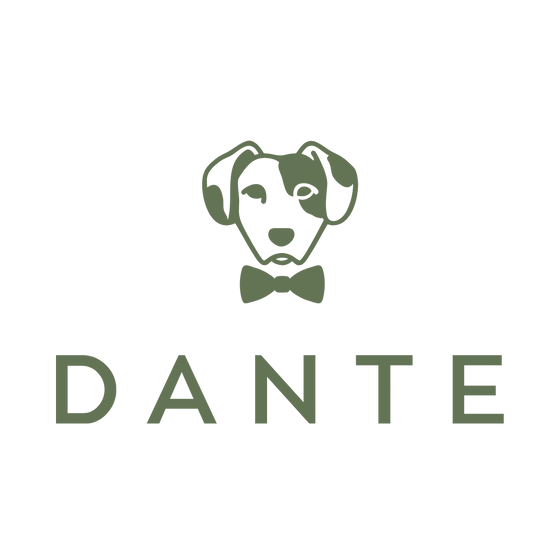 DANTE NIC