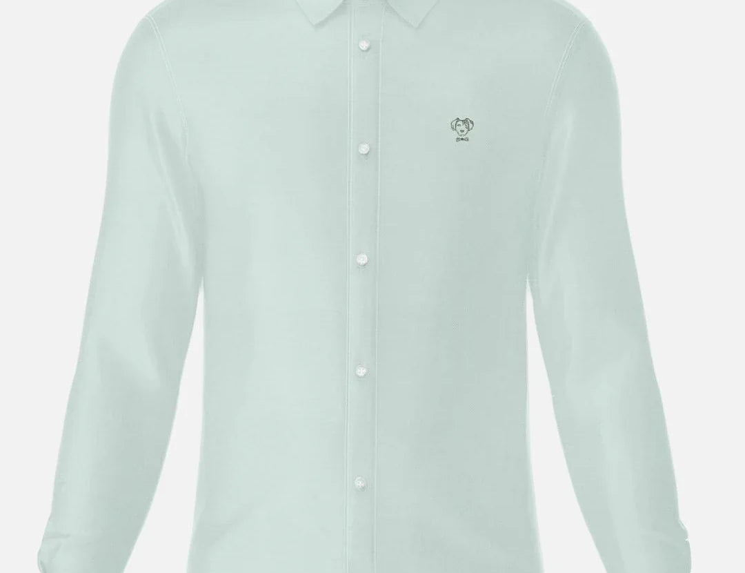 Camisa Performance Verde Sage antiarrugas para hombre marca DANTE tallaje regular fit foto mockup