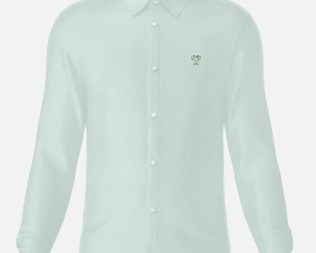 Camisa Performance Verde Sage antiarrugas para hombre marca DANTE tallaje regular fit foto mockup