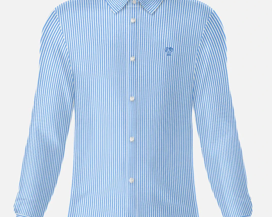 Camisa Performance rayas azul Claro antiarrugas para hombre marca DANTE tallaje regular fit foto mockup