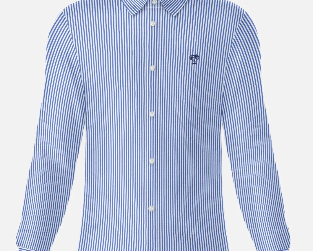 Camisa Performance rayas azul Oscuro antiarrugas para hombre marca DANTE tallaje regular fit foto mockup