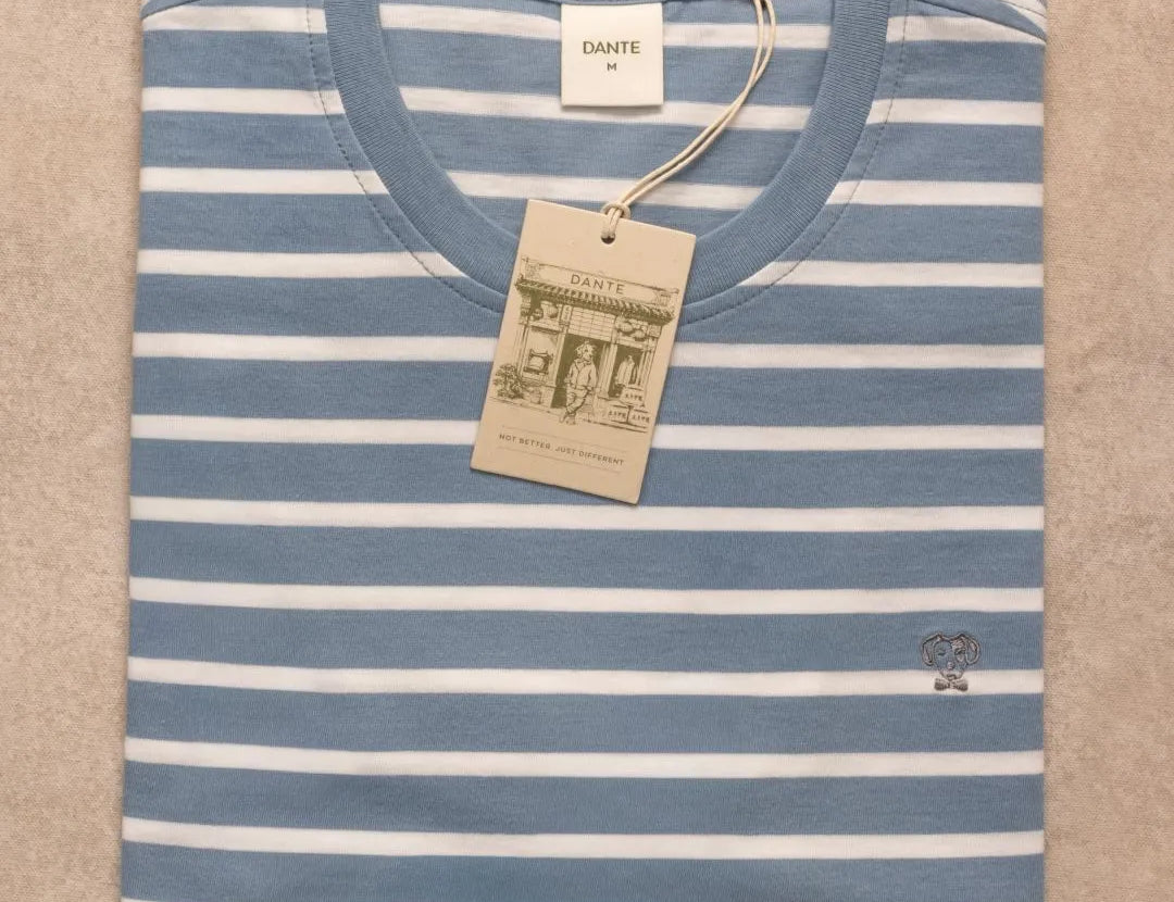 Camiseta antimanchas Rayas Azul Stone mujer marca DANTE tallaje relaxed fit foto prenda