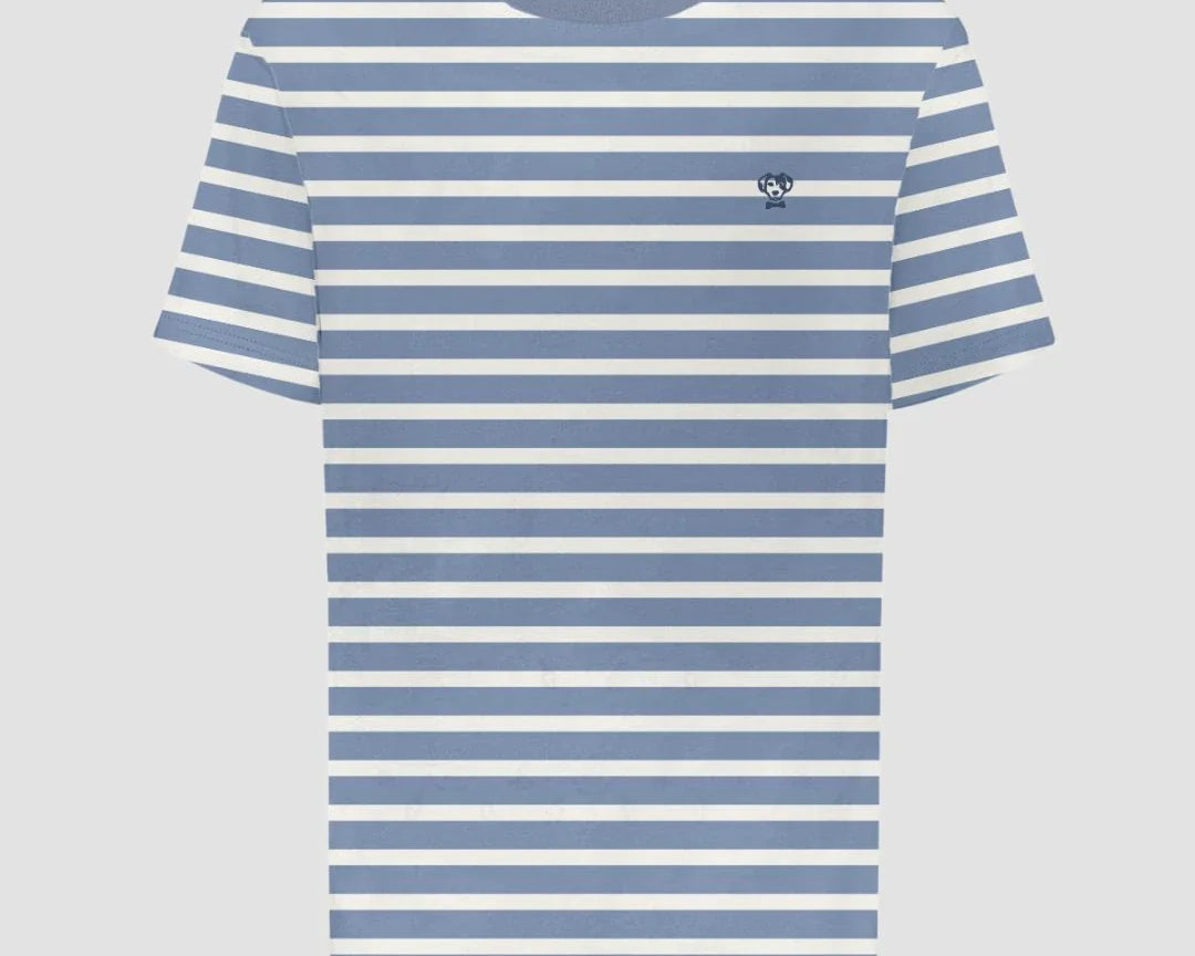 Camiseta antimanchas Rayas azul stone hombre marca DANTE tallaje regular fit foto mockup