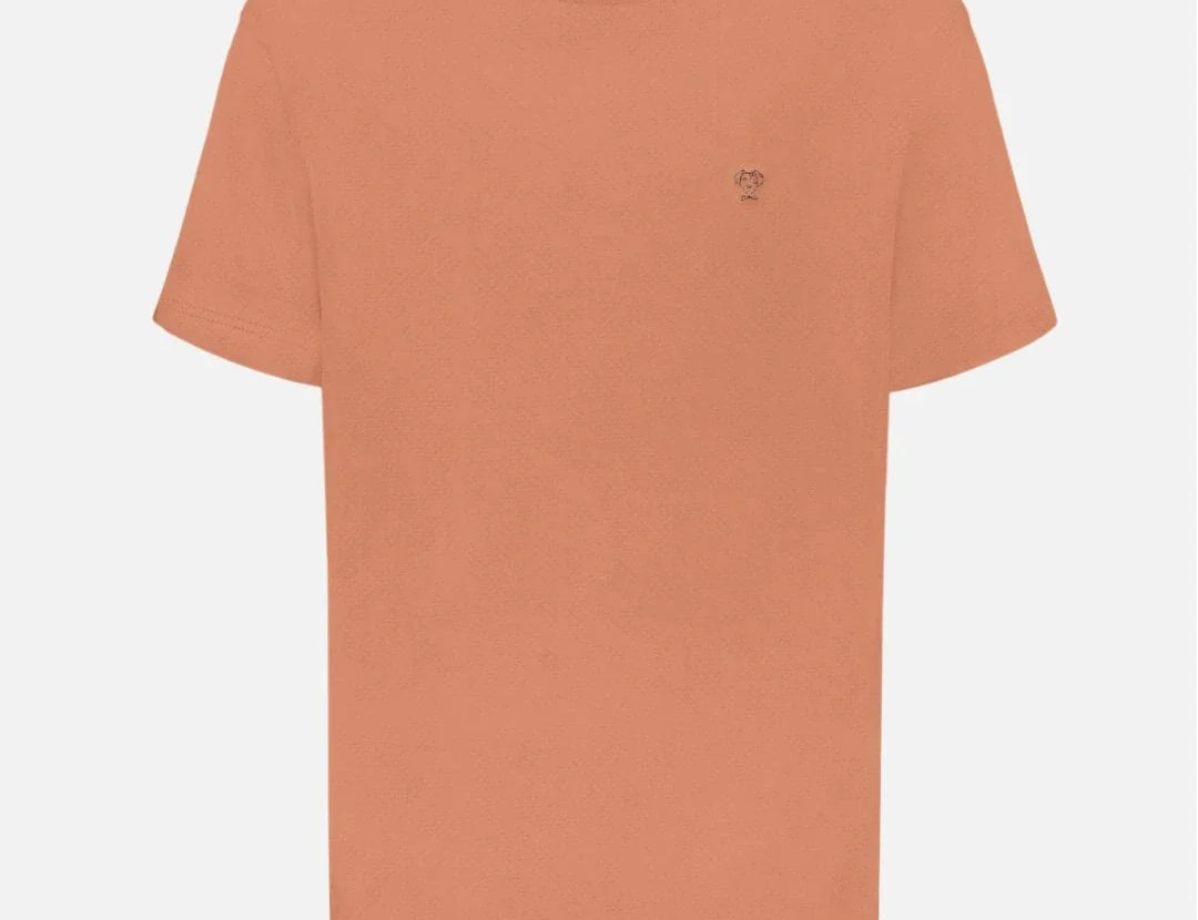 Camiseta antimanchas mocca para hombre marca DANTE tallaje regular fit foto mockup